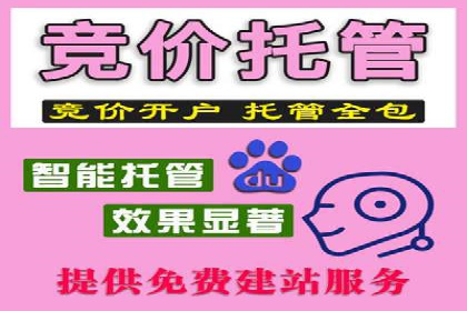 成功案例：SEO与SEM优化助力企业突破瓶颈